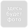Зверобой